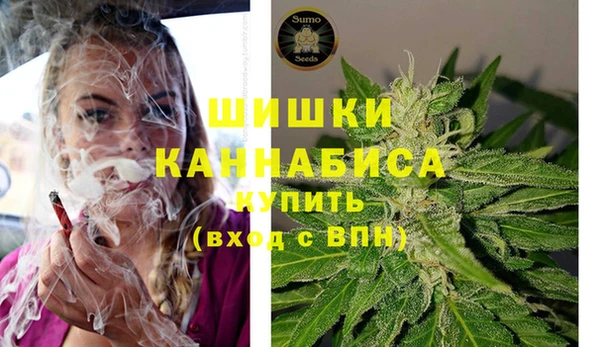 индика Протвино