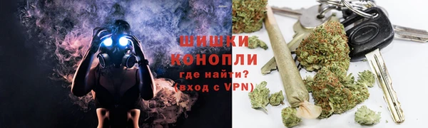 индика Протвино