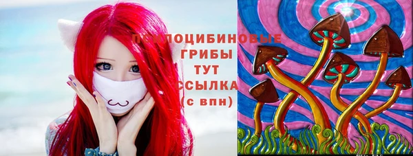 твердый Аркадак