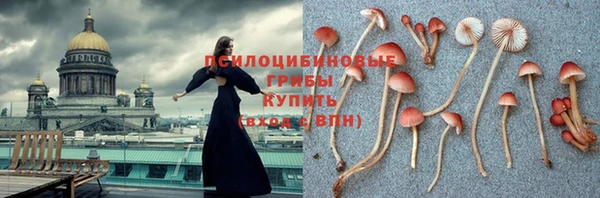 индика Протвино