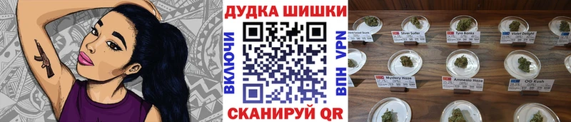 как найти закладки  Новотроицк  Каннабис MAZAR 